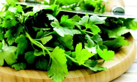 Ảnh minh họa: Internet