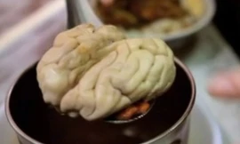 Ảnh minh họa: Internet