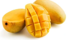 Ảnh minh hoạ: Internet