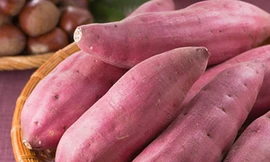 Ảnh minh họa: Internet