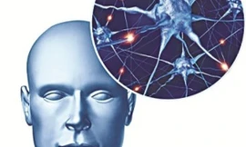 Ảnh minh họa: Internet