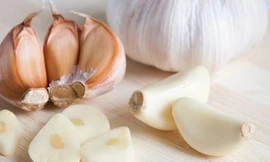 Ảnh minh hoạ: Internet