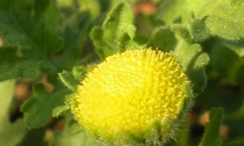 Ảnh minh họa: Internet