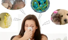 Ảnh minh họa: Internet