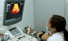 Ảnh minh hoạ: Internet