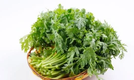 Ảnh minh hoạ: Internet