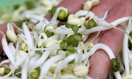 Ảnh minh họa: Internet