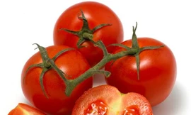 Ảnh minh họa: Internet