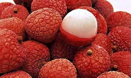 Ảnh minh hoạ: Internet