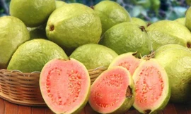 Ảnh minh họa: Internet