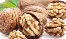 Ảnh minh họa: Internet