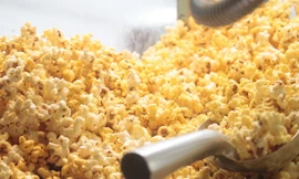 Ảnh minh hoạ: Internet