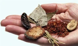 Ảnh minh hoạ: Internet