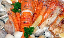 Ảnh minh họa: Internet