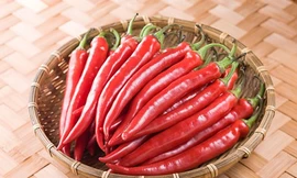 Ảnh minh hoạ: Internet