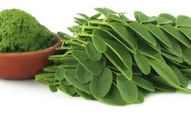 Ảnh minh họa: Internet