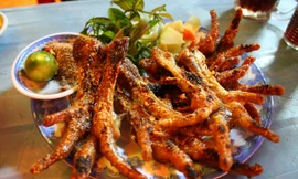 Ảnh minh hoạ: Internet