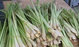 Ảnh minh họa: Internet