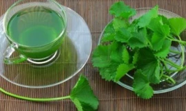 Ảnh minh họa: Internet