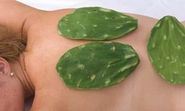 Ảnh minh họa: Internet