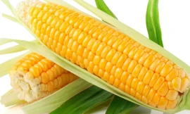 Ảnh minh họa: Internet