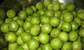 Ảnh minh họa: Internet