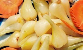 Ảnh minh hoạ: Internet