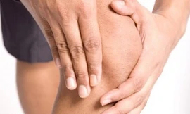 Ảnh minh hoạ: Internet