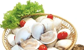 Ảnh minh hoạ: Internet