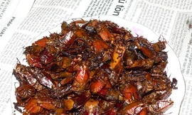 Ảnh minh hoạ: Internet