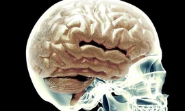 Ảnh minh họa: Internet