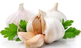 Ảnh minh họa: Internet