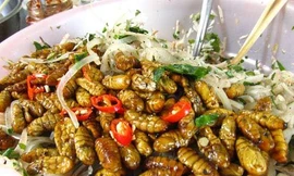 Ảnh minh hoạ: Internet