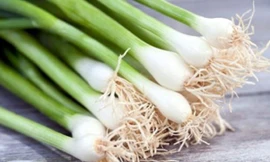 Ảnh minh họa: Internet