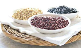 Ảnh minh hoạ: Internet