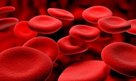 Ảnh minh họa: Internet