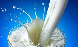 Ảnh minh họa: Internet