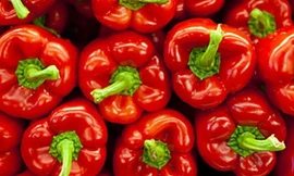 Ảnh minh họa: Internet