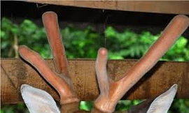 Ảnh minh họa: Internet