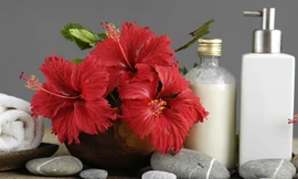 Ảnh minh hoạ: Internet