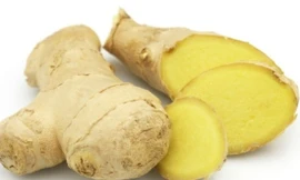 Ảnh minh họa: Internet