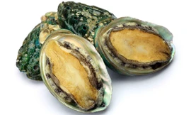 Ảnh minh hoạ: Internet