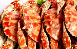 Ảnh minh họa: Internet