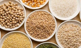 Ảnh minh hoạ: Internet