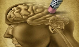 Ảnh minh họa: Internet