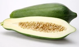 Ảnh minh họa: Internet