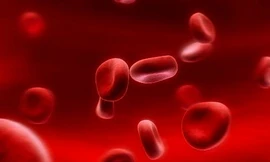 Ảnh minh hoạ: Internet