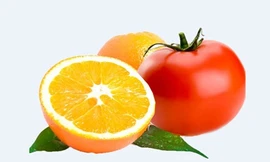 Ảnh minh họa: Internet