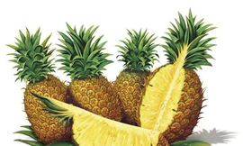 Ảnh minh họa: Internet