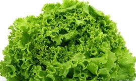 Ảnh minh họa: Internet